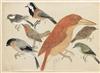 (JAPAN--NATURAL HISTORY.) Two albums containing a large number of pen-and-ink with watercolor studies. Japan, early 20th century
